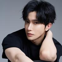 Lin Shi Jie