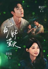 Fireflies in the Wilderness short-drama poster