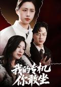 Dare You Board My Private Jet? short-drama poster