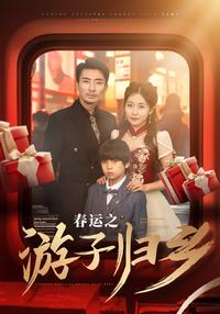 Homecoming During Spring Festival short-drama poster
