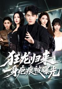 The Wild Dragon Returns: Scars Revealed short-drama poster