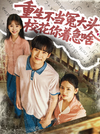 Reborn, Not a Fool, School Beauty Why Rush short-drama poster