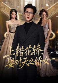 Marrying the Right Woman by Mistake short-drama poster