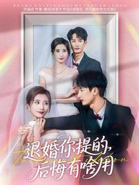 You Broke the Engagement, Regret is Useless short-drama poster