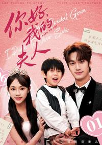 Hello, My Wife short-drama poster