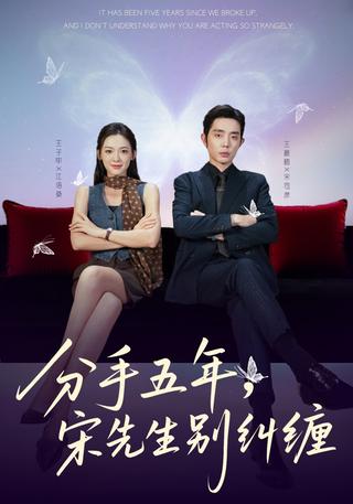 Five Years After Breakup, Mr. Song Stop Pestering short-drama poster
