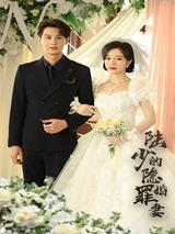The Sinful Wife of Mr. Lu's Hidden Marriage