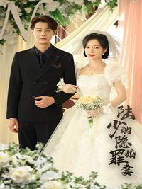 The Sinful Wife of Mr. Lu's Hidden Marriage short-drama poster