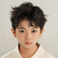 Wang Chu Han