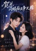 Mr. He's Flash Marriage Turns into a Fight for Love short-drama poster