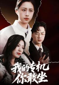 Dare You Board My Private Jet? short-drama poster