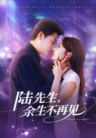 Mr. Lu, Never See You Again short-drama poster