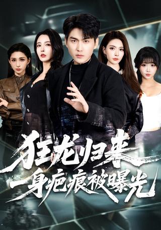 The Wild Dragon Returns: Scars Revealed short-drama poster