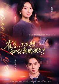President Huo, Your Wife Has Wanted a Divorce for a Long Time short-drama poster