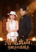 《潛龍出山，有眼不識金鑲玉》短劇海報