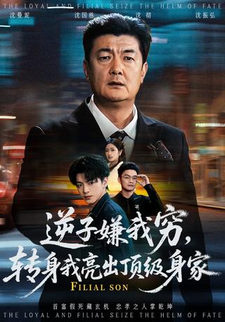 Ungrateful Son Scorns My Poverty, I Reveal My True Wealth short-drama poster