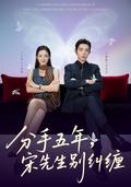 Five Years After Breakup, Mr. Song Stop Pestering