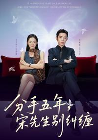 Five Years After Breakup, Mr. Song Stop Pestering short-drama poster
