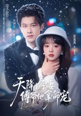 A Sudden Pregnant Wife, Master Fu Dotes on Her Recklessly short-drama poster