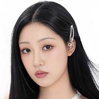 Zhang Ya Di