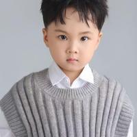 Ye Wen Yan