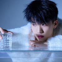 Wang Ao Long