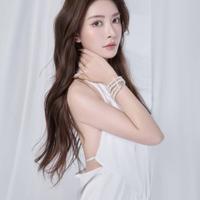 Yuan Si Qi