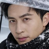 Wang Bei Jing